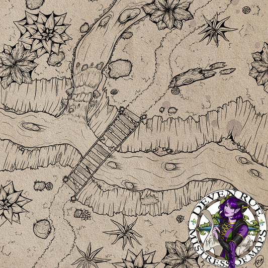 An illustrated map of a river crossing with a bridge in disrepair near a waterfall.